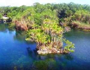 cenote1