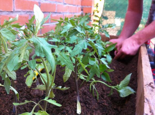 14589_877945968928670_1630914997180397597_n