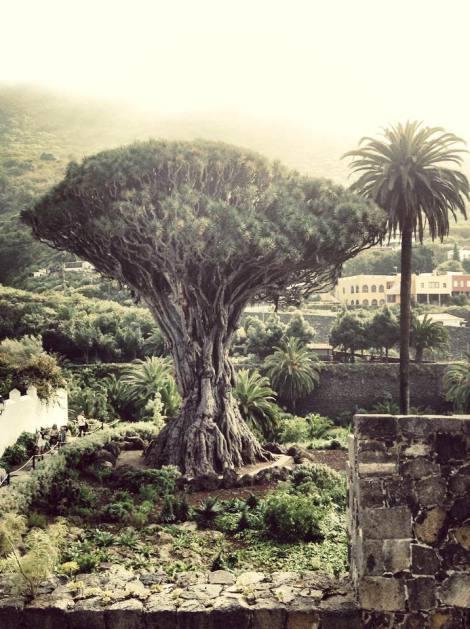 islas-canarias-dia2-