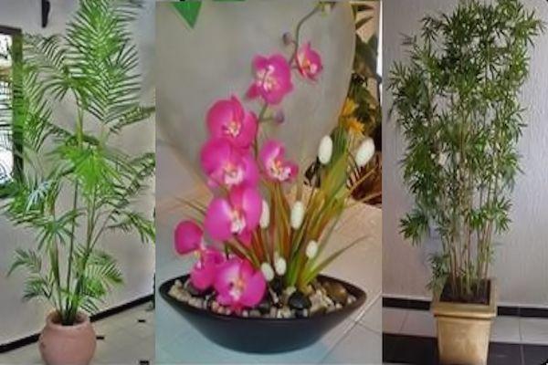 Las mejores opciones de plantas artificiales para sala  Decoración de  unas, Plantas de interior, Plantas interiores