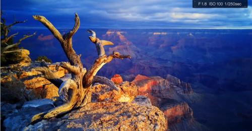 LG-G4-camera-example-9-500x260