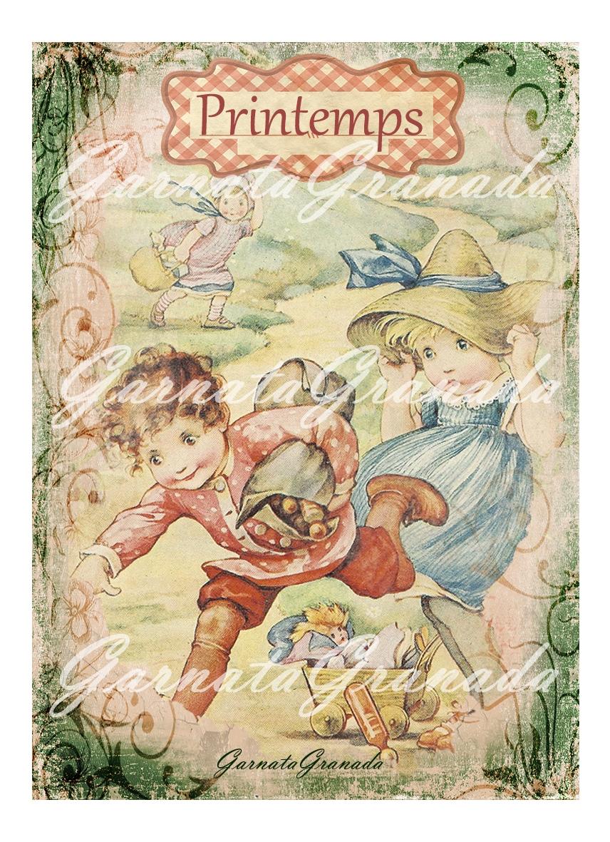 Aplicación_Printemps_13x18