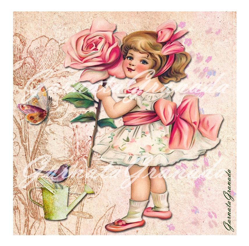 Aplicación_Rose_13x13