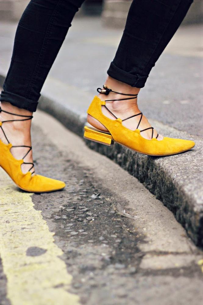 16987252515_1433288f8c_b