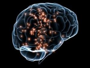 cerebro-neurociencia