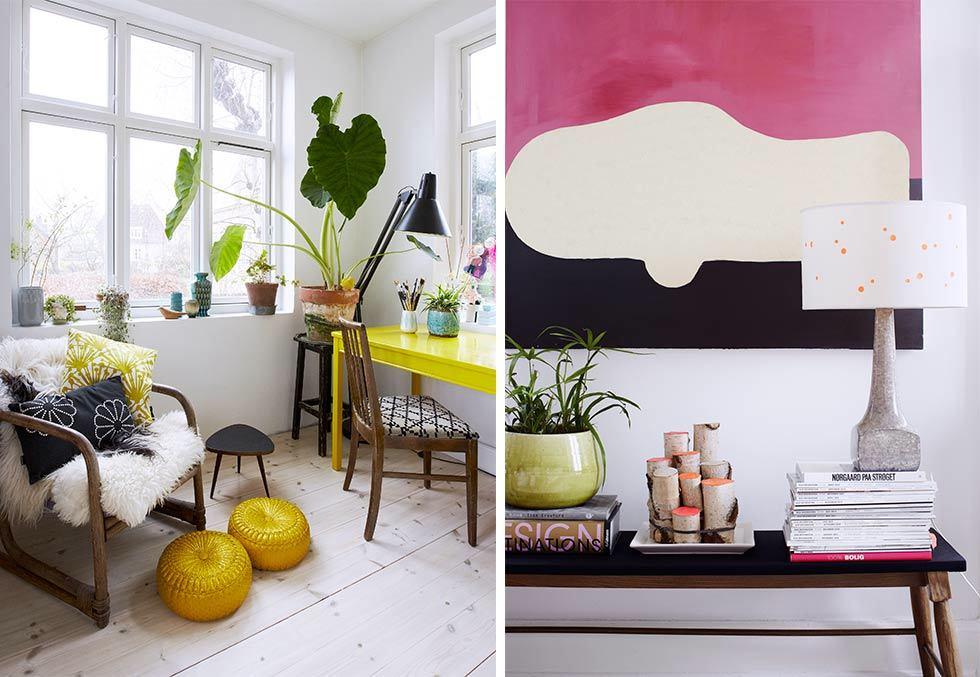 casa-plantas-color-02