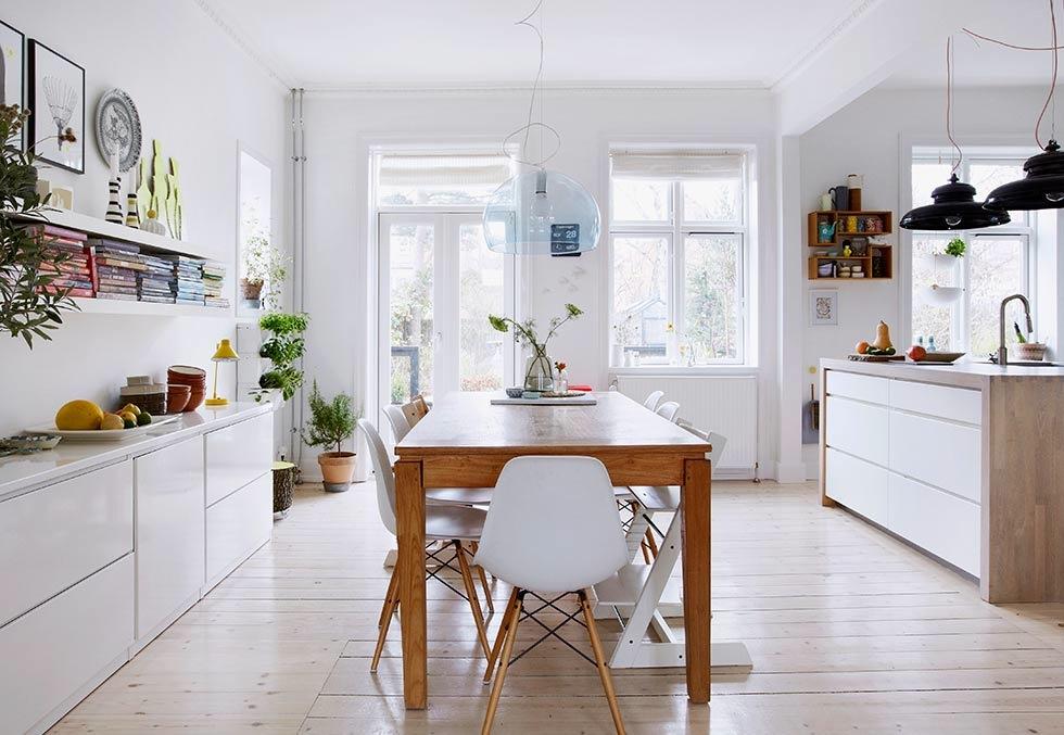 casa-plantas-color-07