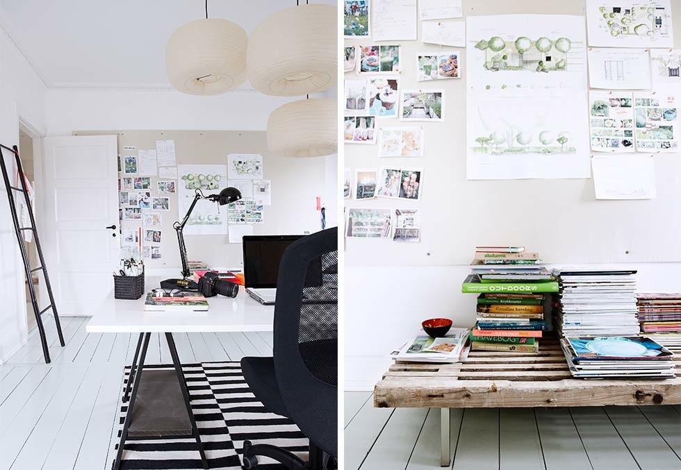 casa-plantas-color-09