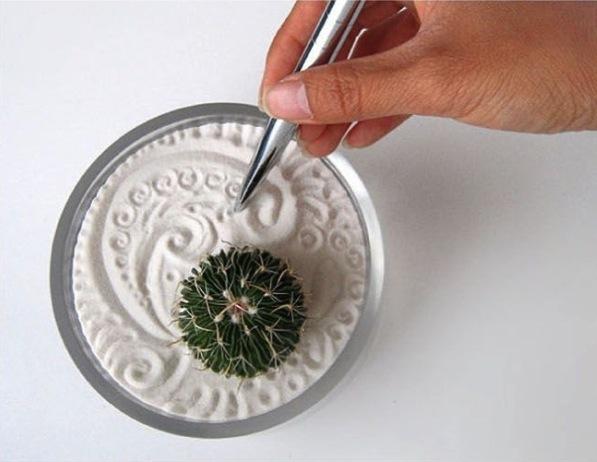 jardín zen de suculentas