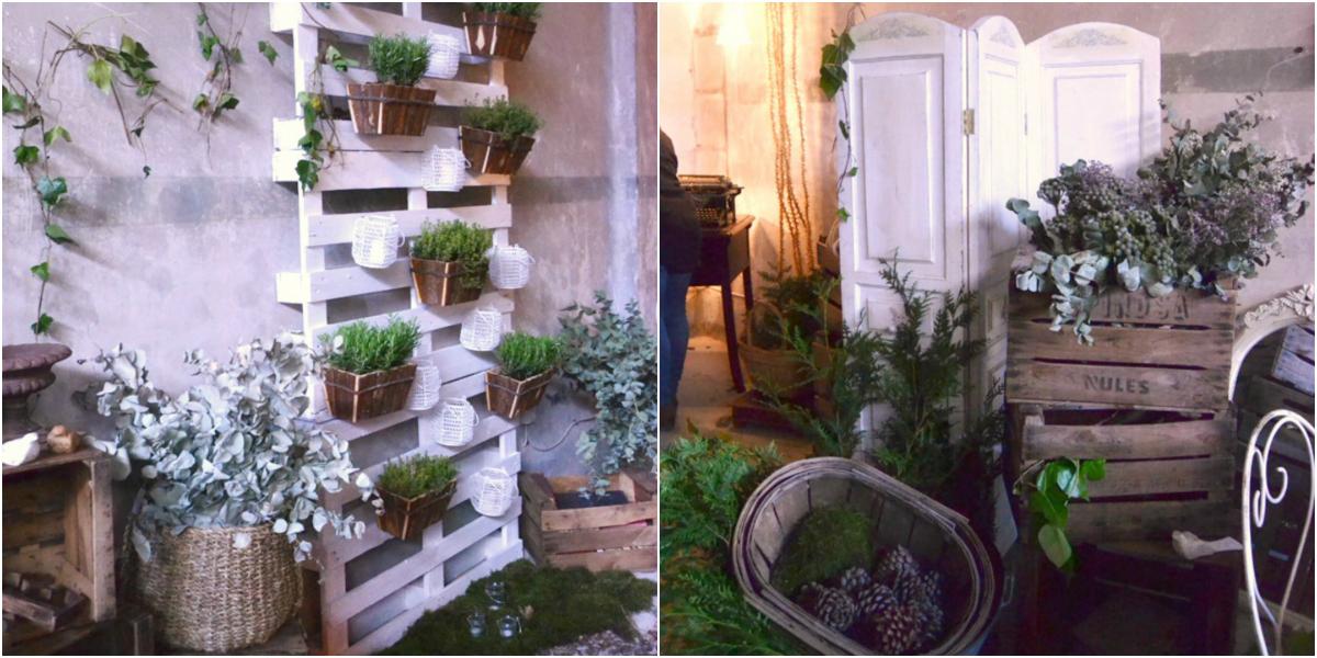 El bosque encantado. El Balcon de Alicia 010