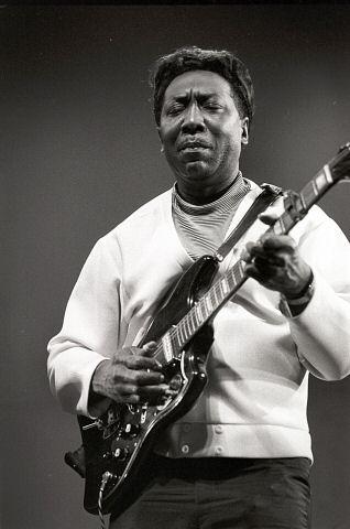 MUDDY WATERS