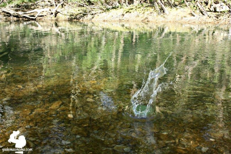 tirando piedras al río