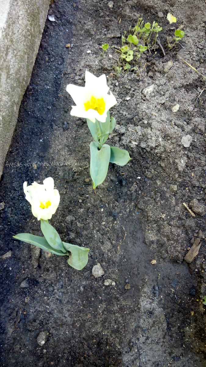 PicsArt_1427792703049