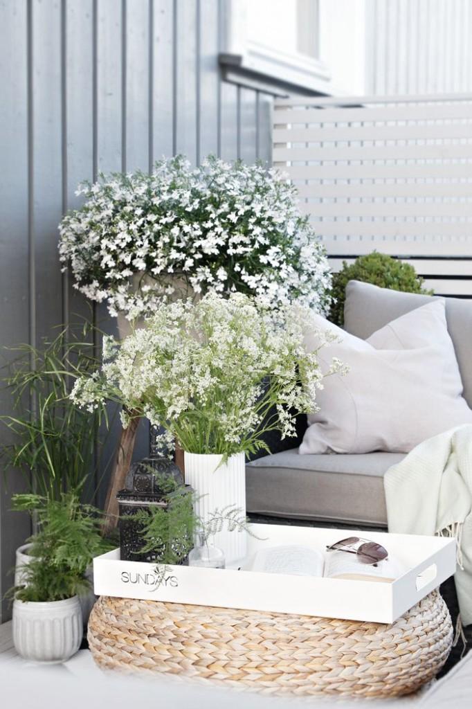 Decoración de exteriore - Plantas