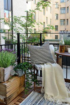 Decoración de exterior - Plantas para refrescar