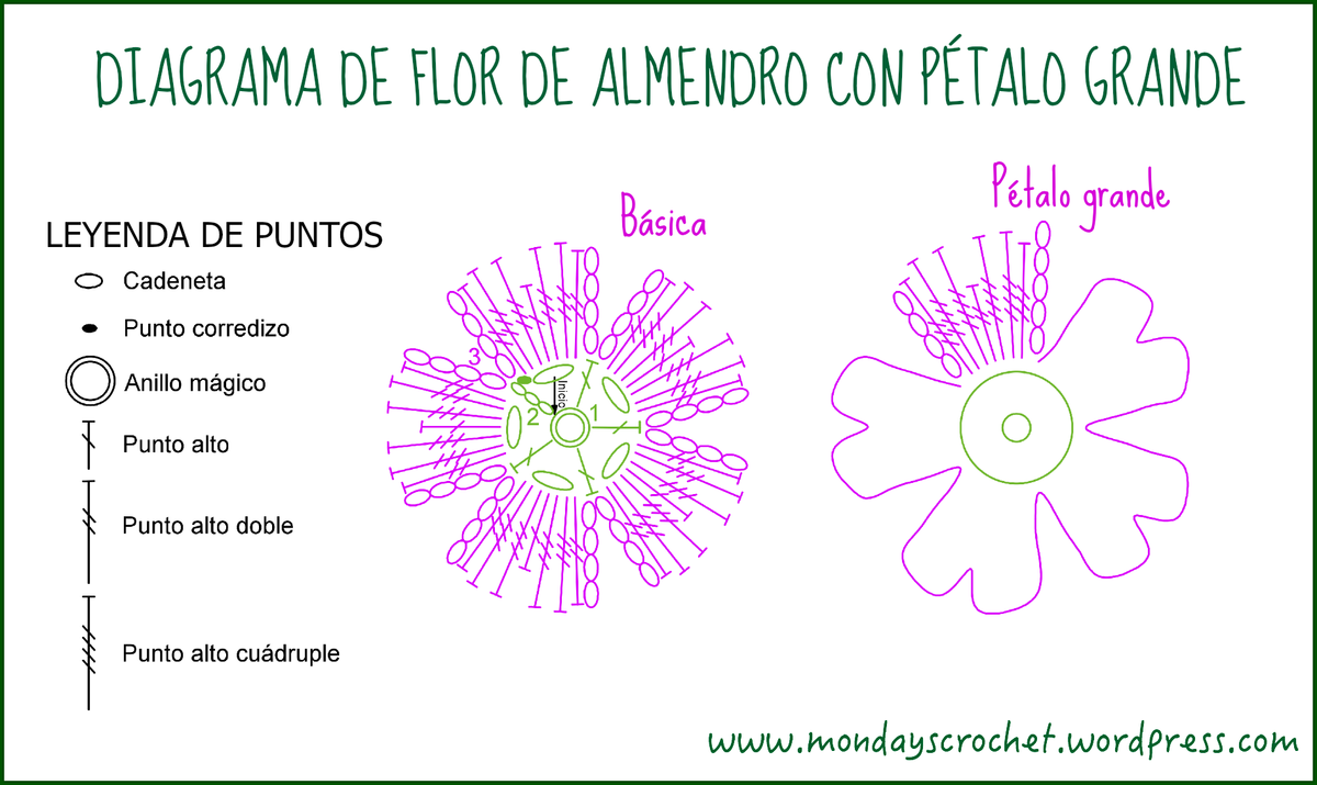 Diagrama Pétalo grande