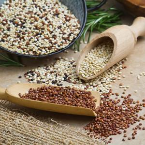 quinoa en grano