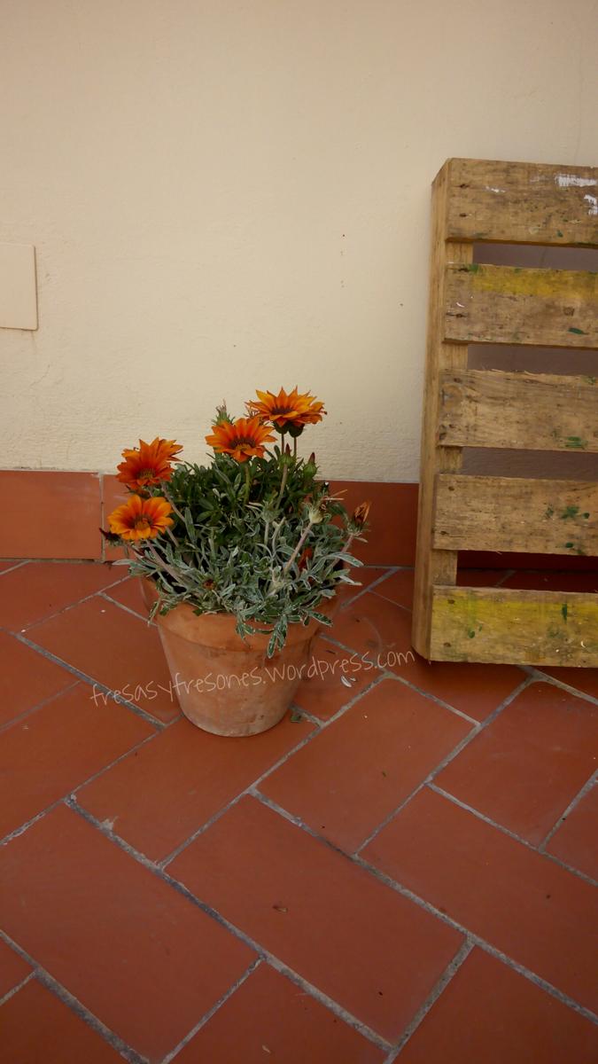 PicsArt_1430905434968