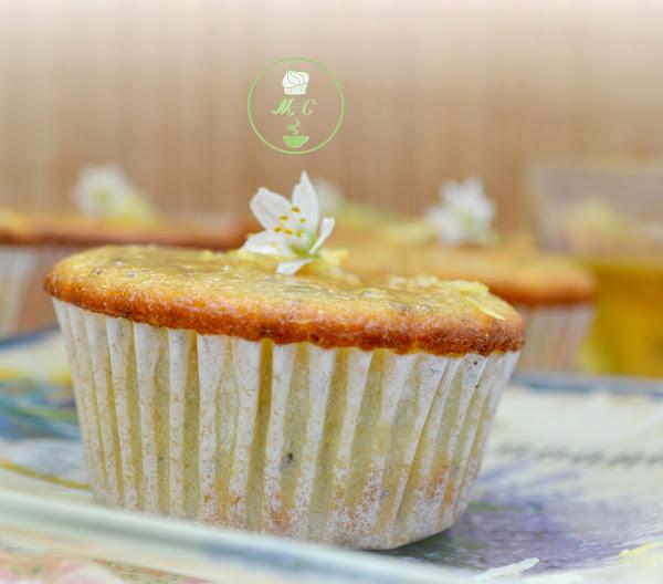 Cupcakes de chia