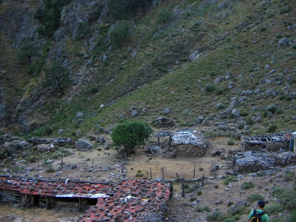 Majada de Cabreros/as en la Sierra de Losar de la Vera