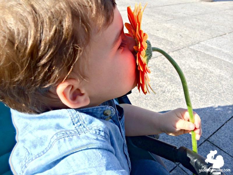 niño besando una flor