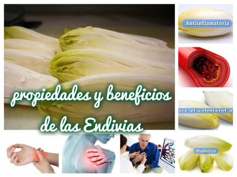 La endivias, propiedades y beneficios | Plantas