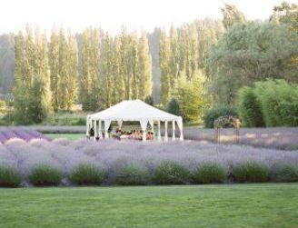 a9b1f974bfdc7556742cb8597e969dd4