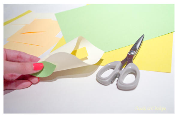 Empaquetado-mayo-C&D