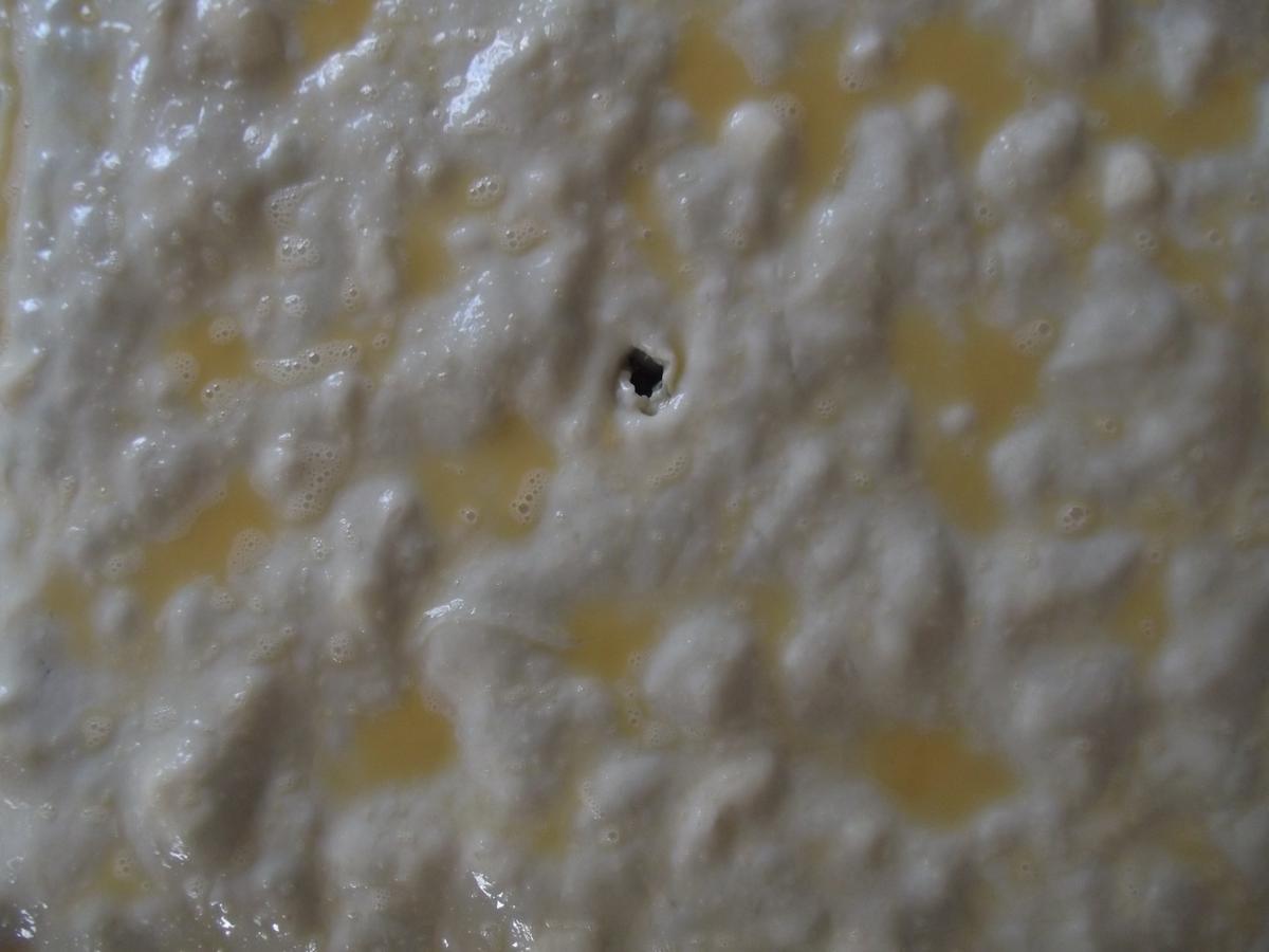 RELLENO DE COCA DE VERDURA