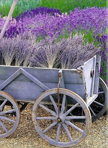 ace2876abaf906133698e167f1adc88e