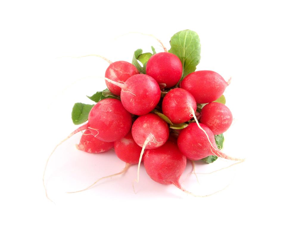 COMO CURAR EL HIGADO GRASO