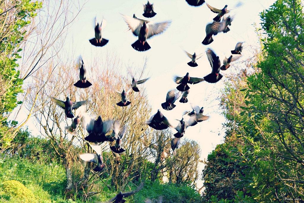 Biarritz - France (7)