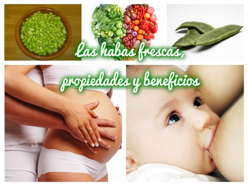 Collage_Habas_Frescas