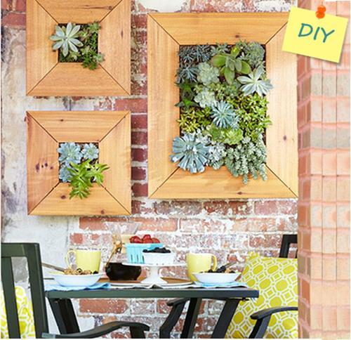 Decorar terrazas pequeñas mini jardin vertical de plantas crasas 2