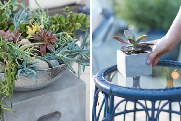 Outdoor_Patio_Succulents1