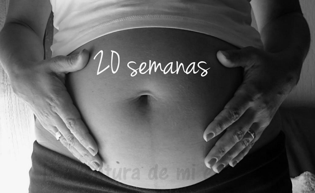  photo barriga-embarazo-20-semanas_zpsghp9nkyp.jpg