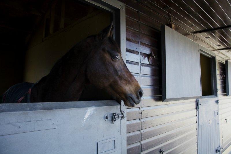 Decoración de boda ecuestre - Love&Horses - All Lovely Party