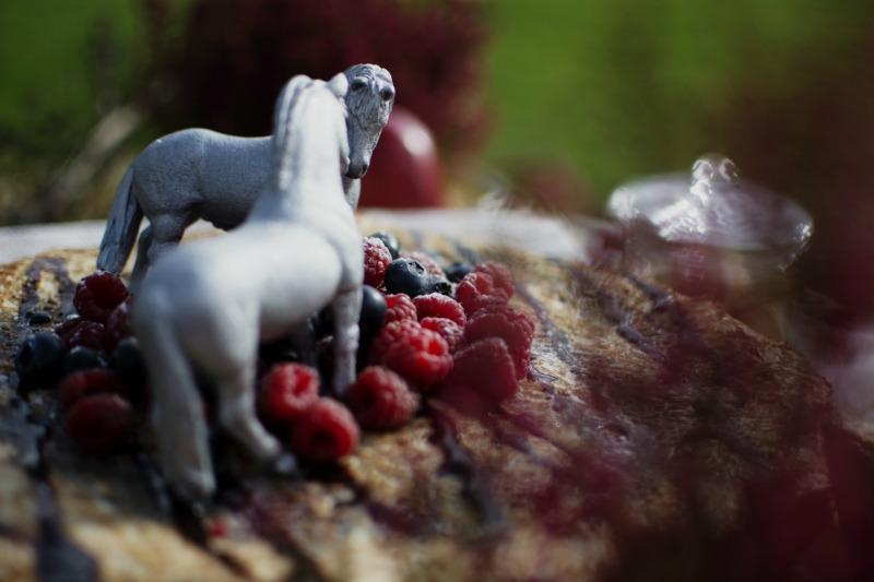 Decoración de boda ecuestre - Love&Horses - All Lovely Party