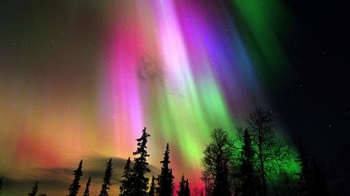 circulo polar artico