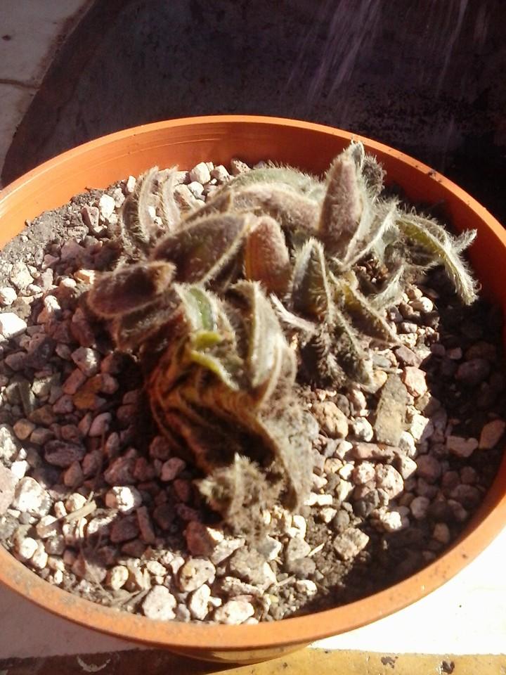 10407716_389307951261087_3737112247434743827_n