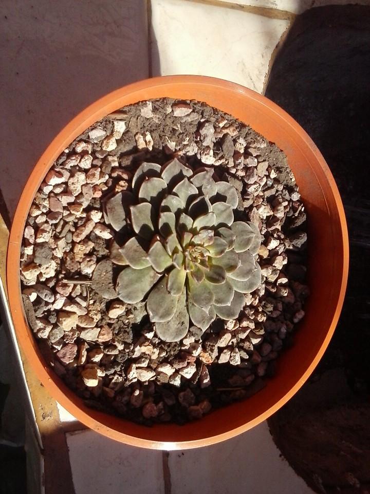 11181699_389307804594435_1697472270123843767_n