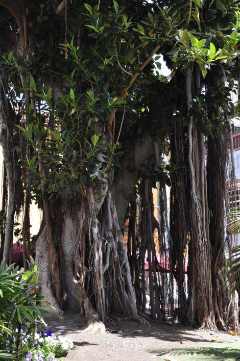 islas-canarias-dia5-