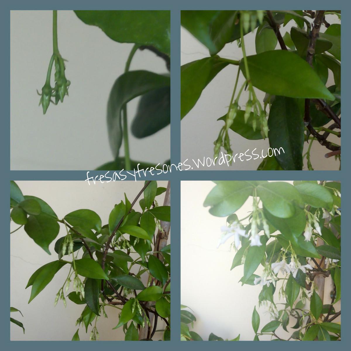 PicsArt_1431857043129