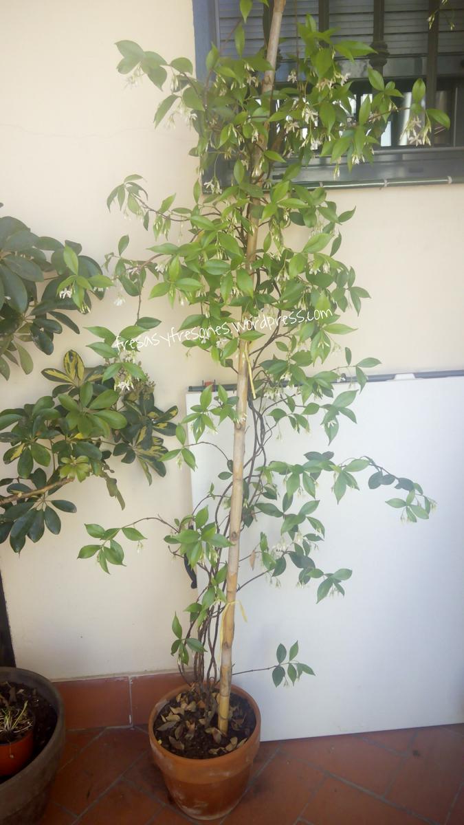 PicsArt_1431856889248