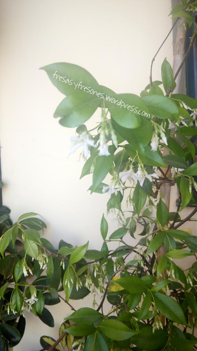 PicsArt_1431856920621