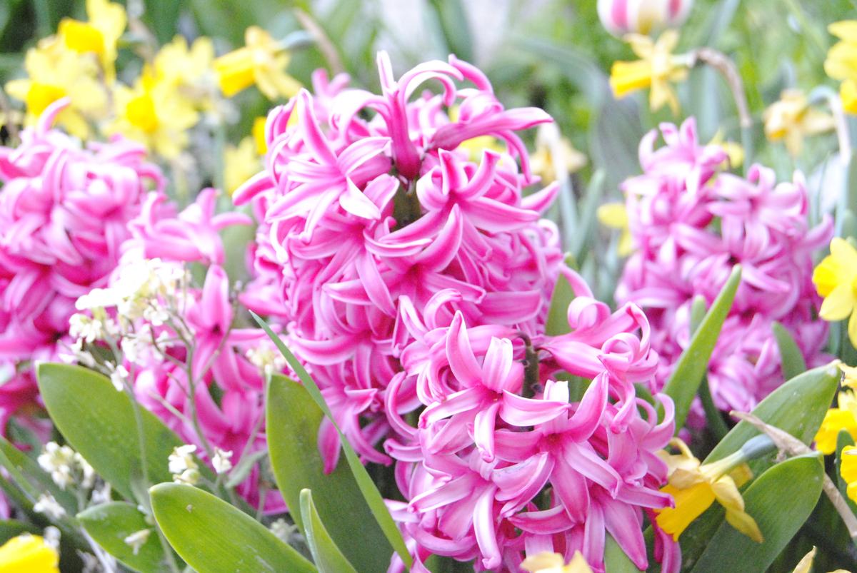 16997376850_6bb4464abc_o