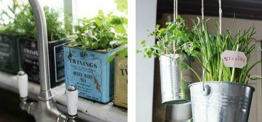 Cómo decorar tu cocina en un piso de alquiler | Decoración