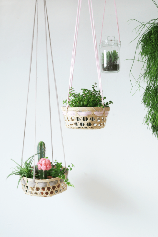 decorar con plantas