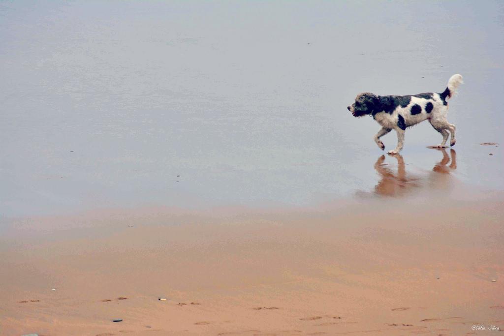 Basque Country _ San Sebastián_ Zarautz (9)