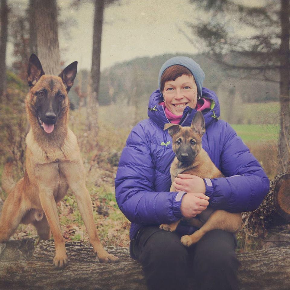 10922642_10154975240270386_6952289661863801137_n